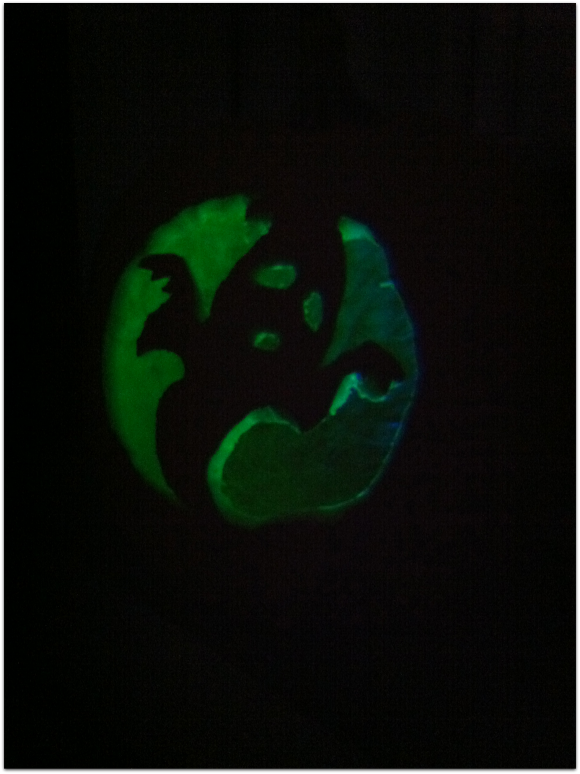 #PumpkinMastersKit #ad