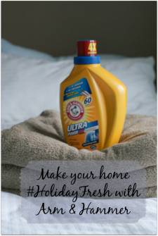 Let Arm and Hammer help you make your home #HolidayFresh #sponsored #MC