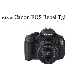 Win a Canon EOS Rebel T3i in a giveaway from @naptimeismytime and friends