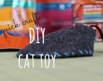 Making a cat toy is easier than you think! Check out this simple tutorial and make your own cat toy today! #IAMSCat AD
