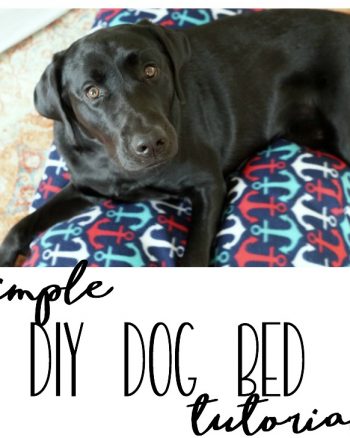 Follow this dog bed tutorial to make a comfy rest spot for your dog in under 30 minutes. You need fleece and basic sewing supplies. #WorryFreeMessFree #ad